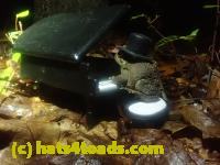 /home//u458753944/public_html/sourcegallery//McKaig Nature Center/2024-09-29/P9291572.JPG